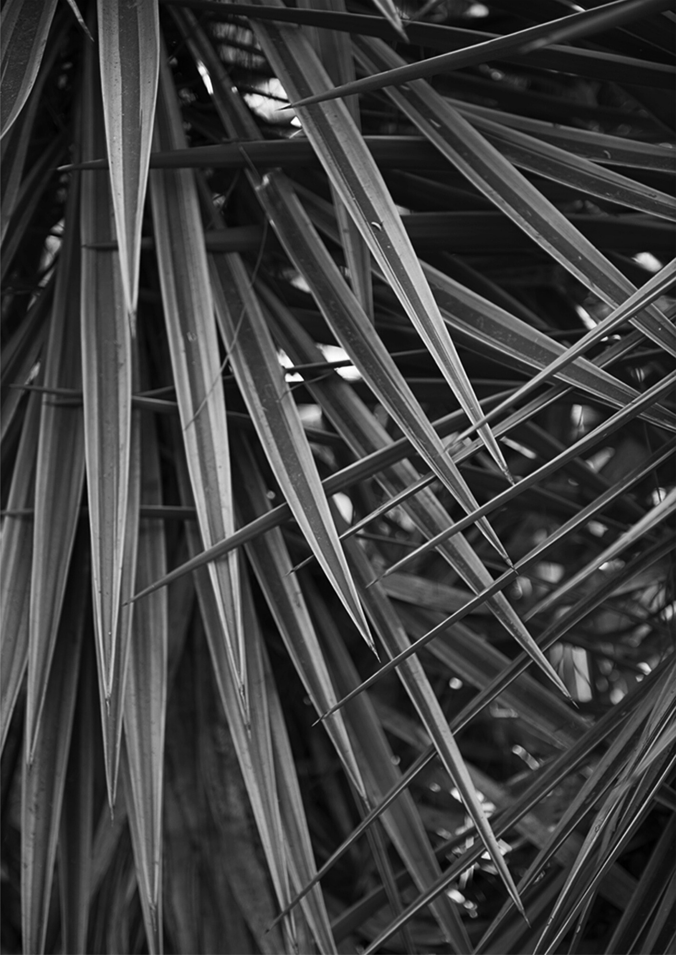 Texturas