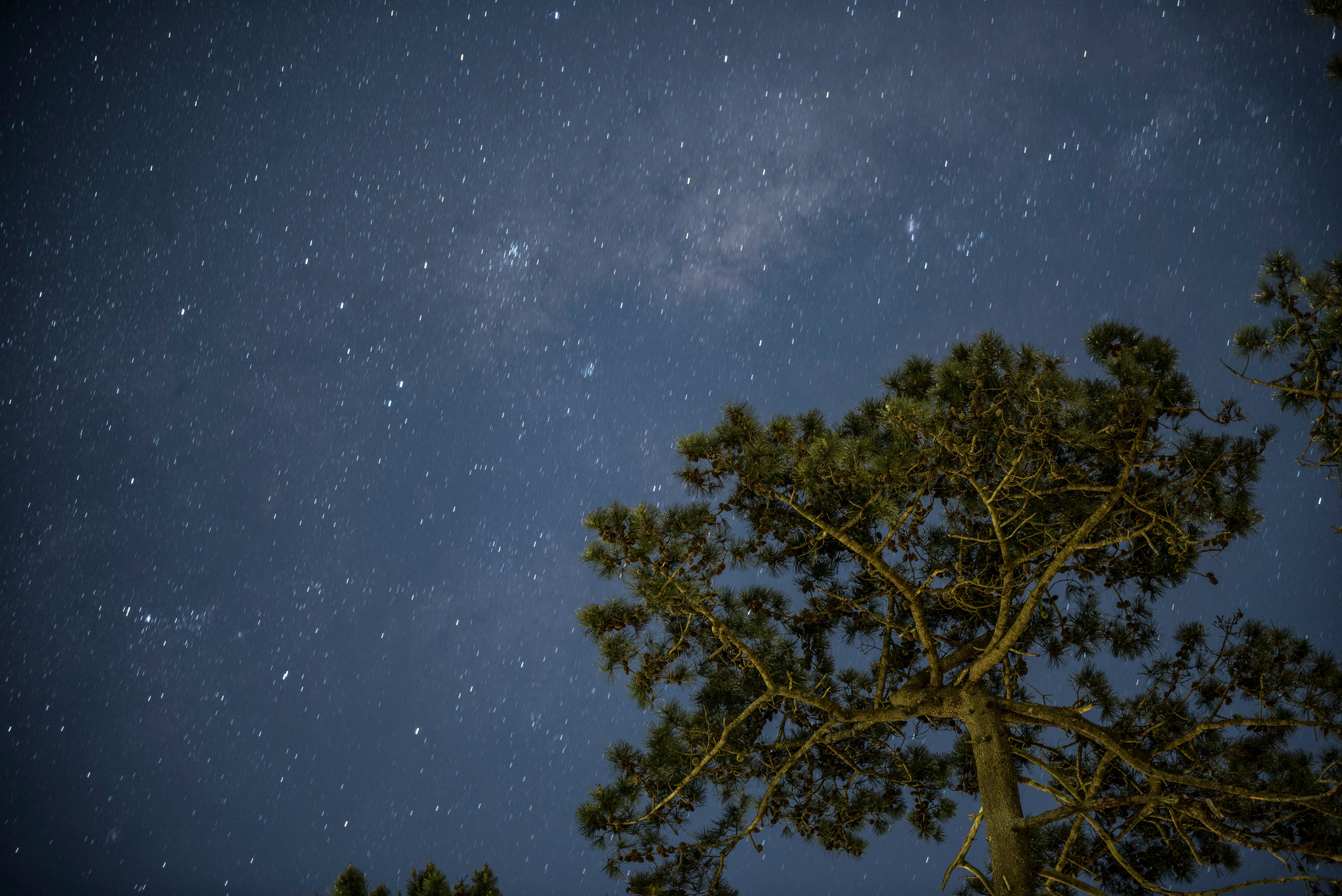 Cielos Nocturnos